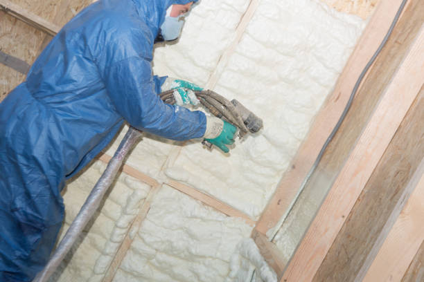 Eco-Friendly or Green Insulation Solutions in Royal Kunia, HI